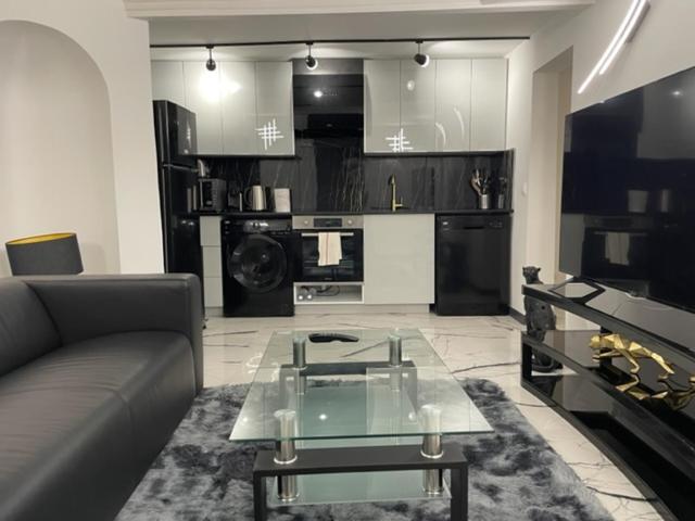 Apartment Design Au Coeur De Paris